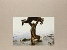 Shellac Dude Incredible 180G /+CD. NEAR MINT Touch and Go Vinyl LP & CD