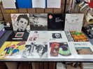 Punk Vinyl LP Records. Subhumans, Omega tribe, 999. Redskins. Richard Hell