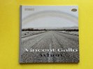 Vincent Gallo – When, LP Warp Records – WARP LP 87 UK 2001 - Rare- Original Copy