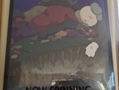 Snoop Doggy Dogg - DoggyStyle by KAWS Gallery Picture Disc - SEALED IN HAND