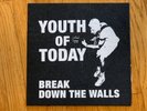 Youth Of Today Break Down The Walls LP Posi Fest 2002 White Vinyl #48/60 Judge