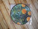 Lana Del Rey - Violet Bent Backwards Over The Grass Unplayed Vinyl Picture Disc