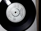 outer limits 7inch single im not your stepping stone very rare