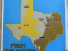 Texas Punk From The 60's - 1982 French Eva LP - Chessmen Them Outcasts Cynics +