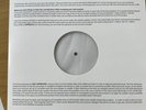 Alkaline Trio Goddamnit Picture Disc Test Pressing
