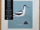 Bert Jansch - Avocet LP 2019 UK White Vinyl M/M Ltd Rare Folk 40th Anniversary