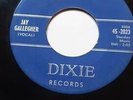  783 JAY GALLEGHER ORIGINAL MADE IN USA  DIXIE 2023 KILLER PIANO AND GUITAR VERY
