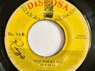 THE HELLIONS - Sun Sun Babae / RARE GUARACHA GARAGE SURF NICARAGUA Discosa