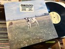 PINK FLOYD 