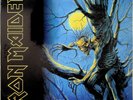 IRON MAIDEN- Fear of The Dark 2-LP (NEW 2017 Remastered EU Vinyl) Metal 1992