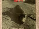 Pearl Jam - Who Killed Rudolph?/Sonic Reducer (7