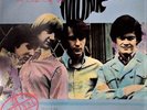 THE MONKEES - Best of The Monkees  (Canada, 1986 vinyl) NEW   2LP Silver Eagle