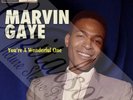 60S MOD SOUL MOTOWN STATESIDE MARVIN GAYE YOU'RE A WONDERFUL ONE PICTURE SLEEVE
