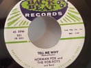 Norman Fox and The Rob-Roys TELL ME WHY / AUDREY (DOO WOP 45) #501 PLAYS VG++