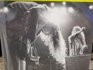 Screaming Trees Change Has Come 12