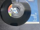 RARE Tina Turner 45 Proud Mary PROMO Vinyl Stereo/Mono Excellent Liberty Sleeve