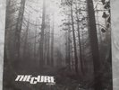 THE CURE A Forest FICTION ORIGINAL 1980 UK 1ST PRESSING VINYL 12