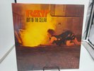 RATT Out Of The Cellar 1984 LP Record 1st SRC Press 80143-1 Ultrasonic Clean EX