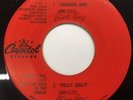 PROMO ONLY 4trk EP BEACH BOYS   EXCERPTS FROM CAPITOL S BEACH BOYS PARTY ALBU