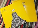 Sleaford Mods ‎– Spare Ribs Ltd Orange SIGNED print 2021 Vinyl