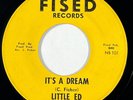 LITTLE ED It's a Dream / Struggling For Survival Fised Funk Psych 45 HEAR