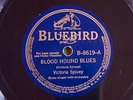 Bluebird 8619 Victoria Spivey BLOOD HOUND BLUES  w Luis Russell Bd 78 rpm E 1929