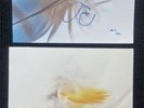 CRANES   SIGNED PRINT - John Peel Sessions 1989-90 SILVER VINYL NEW