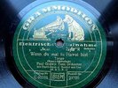 0383/TANGO-Wenn du einmal in Hawaii bist-Paul Godwin-Bartlet+Lee-78rpm Schellack