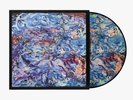 Billie Eilish - Don’t Smile At Me Picture Disc Vinyl By Cecily Brown (500 Made)