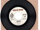 The Allman Brothers Band-Blue Skies/Melissa (VG+)  Hard To Find  45