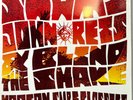 SWAMI JOHN REIS AND THE BLIND SNAKES MODERN SURF CLASSICS LP SWAI44 - USED