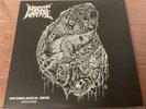 Insect Warfare – Entomological Siege 2004/2009 LP 2019 F.O.A.D. Records(LO)