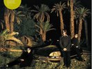 Echo & the Bunnymen - Evergreen - LP