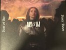 Aly & AJ Joan of Arc on the Dance Floor Attack of Panic Vinyl Record Single