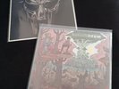 MF DOOM, VINYL