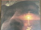 David Crosby If I Could Only Remember My Name 45 RPM MoFi SuperVinyl