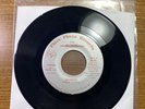 1985 Private Texas Modern Soul Boogie Funk THE RODD 45 Skorpeo PHIVE PHAZE TX