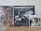 Fleet Foxes + Sun Giant EP Sub Pop Double Vinyl LP + Crack Up + Grown Ocean RSD