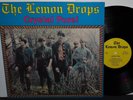 THE LEMON DROPS 1960's ILLINOIS GARAGE PSYCH LP CRYSTAL PURE  NEAR MINT NR