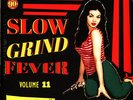 V.A. - Slow Grind Fever 11 (Vinyl LP - 2023 - EU - Original)