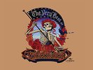 The Grateful Dead - The Very Best Of Vinyl, LP, Compilation