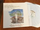 Poi Dog Pondering Circle Around The Sun ep lp 1989 alt folk indie original vinyl