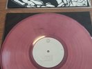 Shelter - The Purpose, The Passion LP, Pin Century Media Pink Marbled 1st press