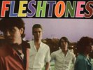 FLESHTONES 'Blast Off LP + bonus 7