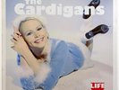 The Cardigans LIFE Original STOCKHOLM RECORDS 1995 Original Pressing Trampolene