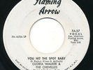 GLORIA WALKER & CHEVELLES - You Hit The Spot Baby -FLAMING ARROW- 60s Soul 45