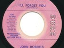 JOHN ROBERTS - I'll Forget You / Be My Baby - DUKE - Northern Soul 45