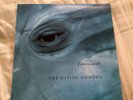 The Divine Comedy - TIMEWATCH 12” Vinyl Record SETANTA SET008