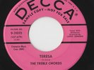 RARE DOO WOP 45 by THE TREBLE CHORDS