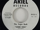 Sugar Bush 